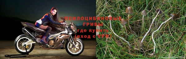 дистиллят марихуана Баксан