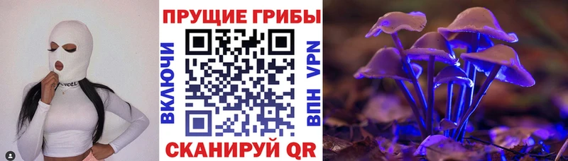 купить закладку Лангепас Галлюциногенные грибы прущие грибы